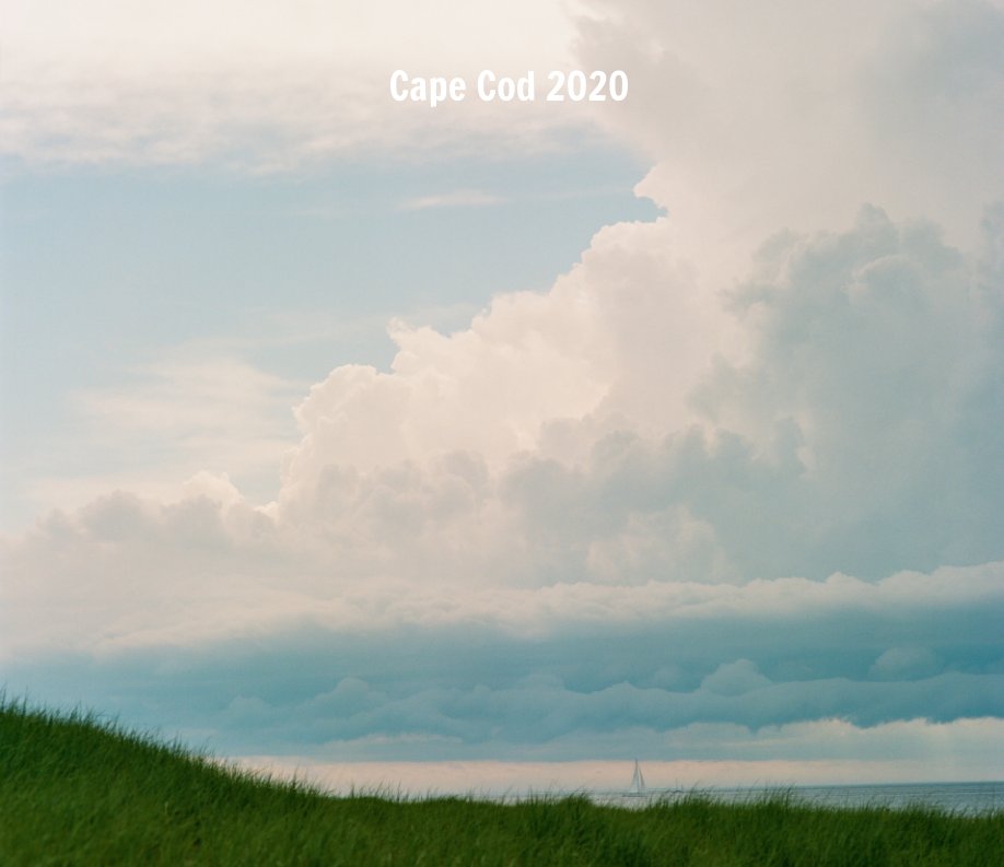 View Cape Cod 2020 by Michael Cirelli