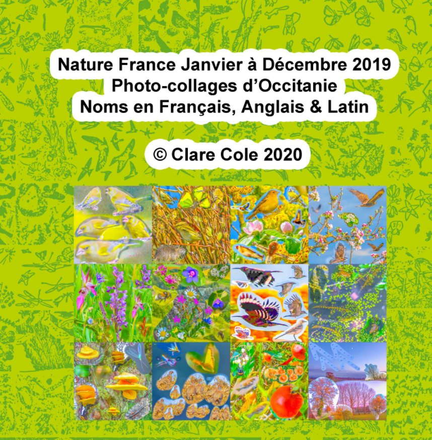 Ver Nature France Janvier à Decembre 2019 Quelques Photocollages por Clare Cole