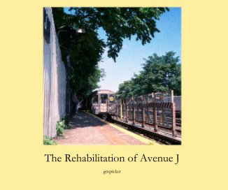 The Rehabilitation of Avenue J book cover