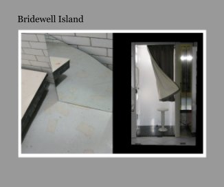 Bridewell Island book cover