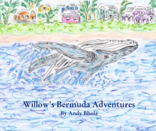 Willow's Bermuda Adventures book cover