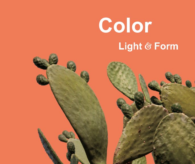 View Color, Light and Form by Fern Helfand