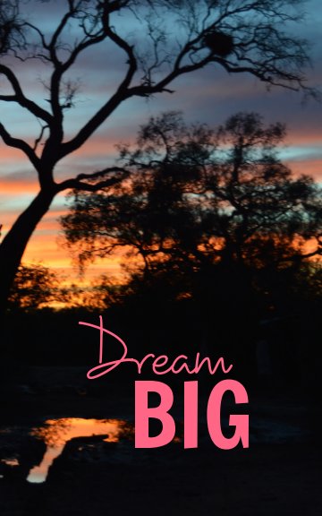 View Dream Big by Kristine Margrethe