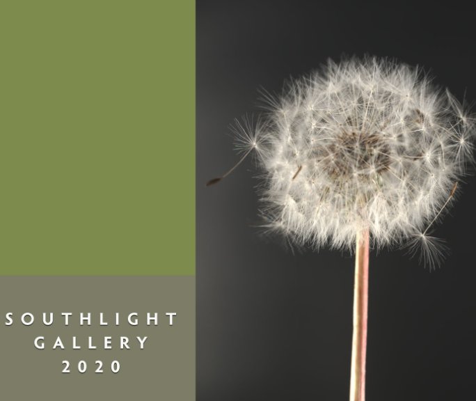 View Southlight Gallery 2020 Book by Randy Pierre