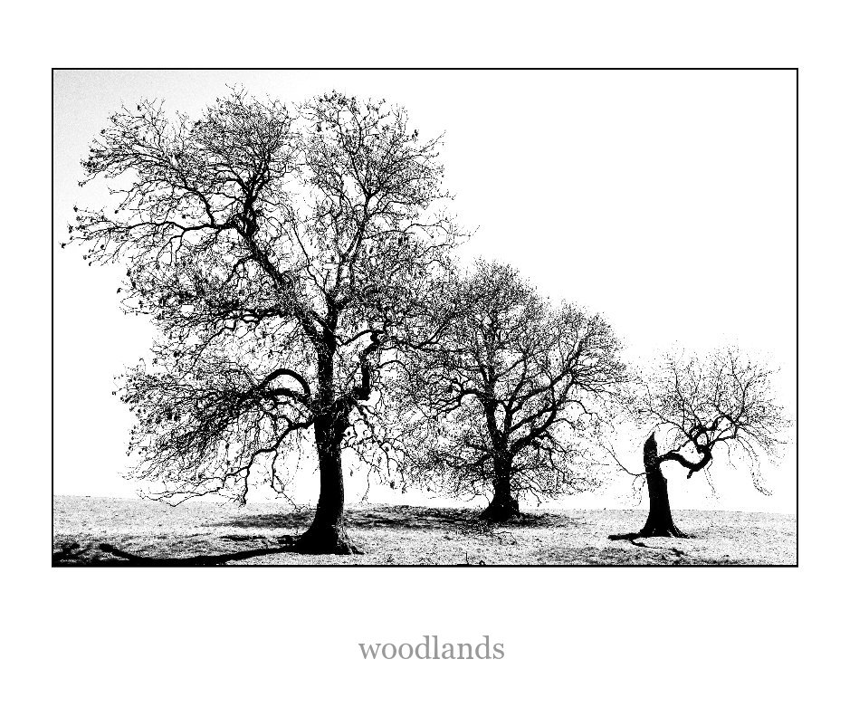 View woodlands by Trevor Pollard