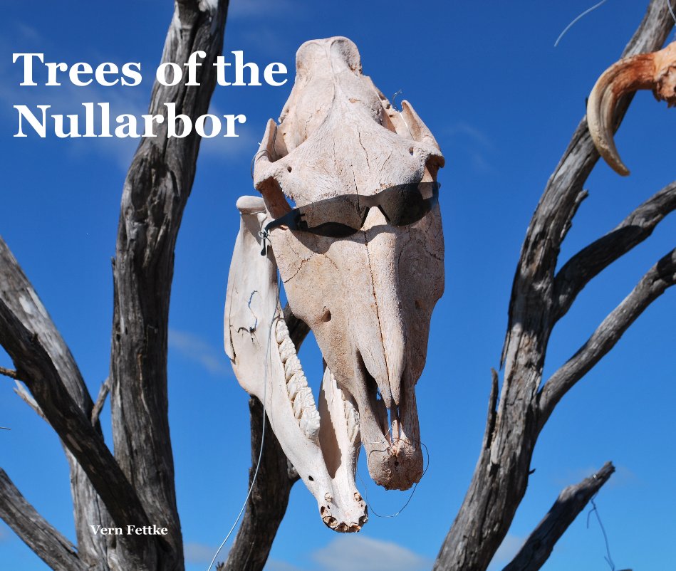 Ver Trees of the Nullarbor por Vern Fettke