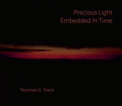 Precious Light Embedded In Time book cover