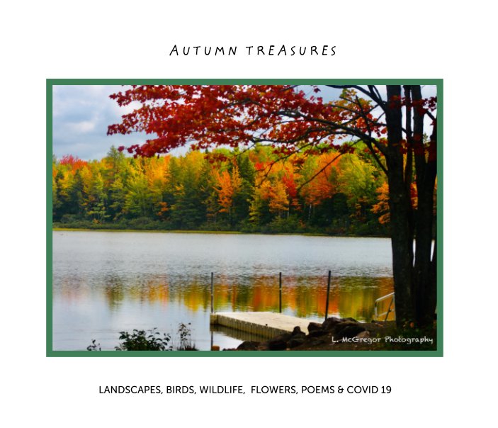 View Autumn Treasures by Laura McGregor