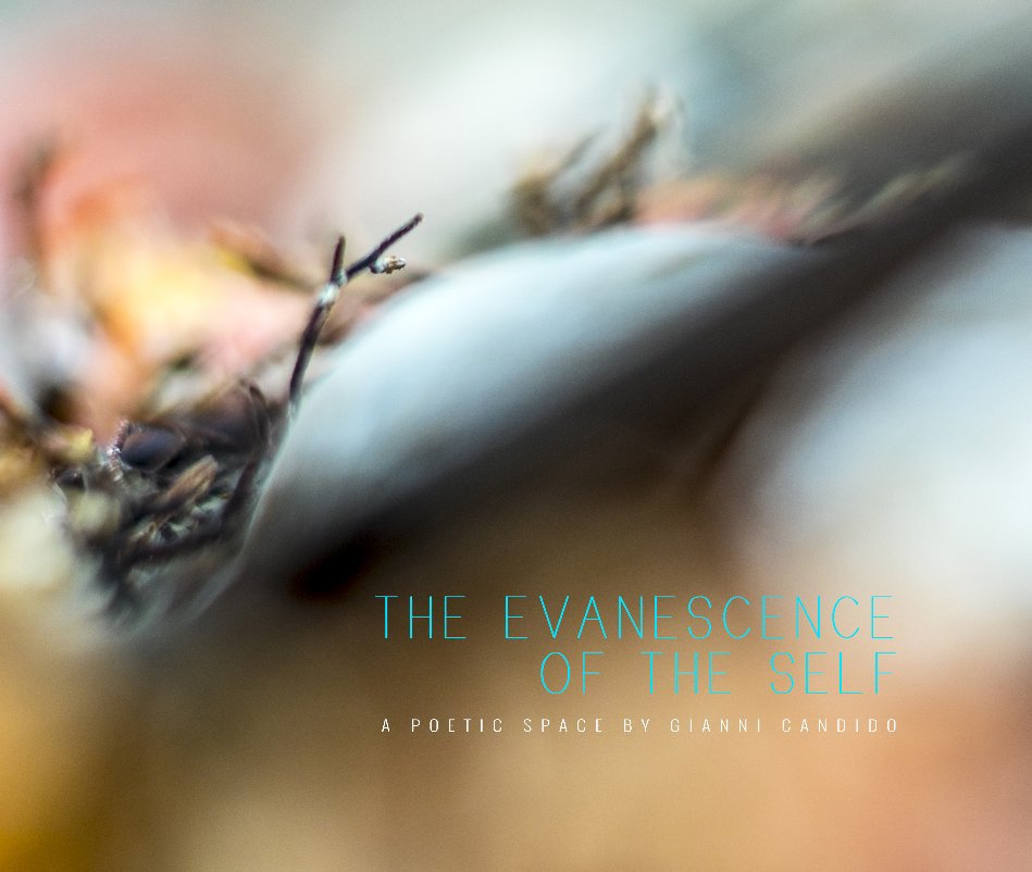 View The Evanescence of The Self by Gianni Candido