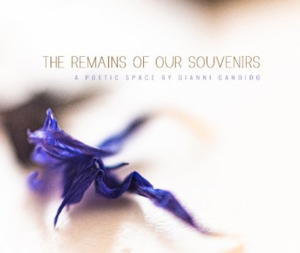 The Remains of Our Souvenirs book cover