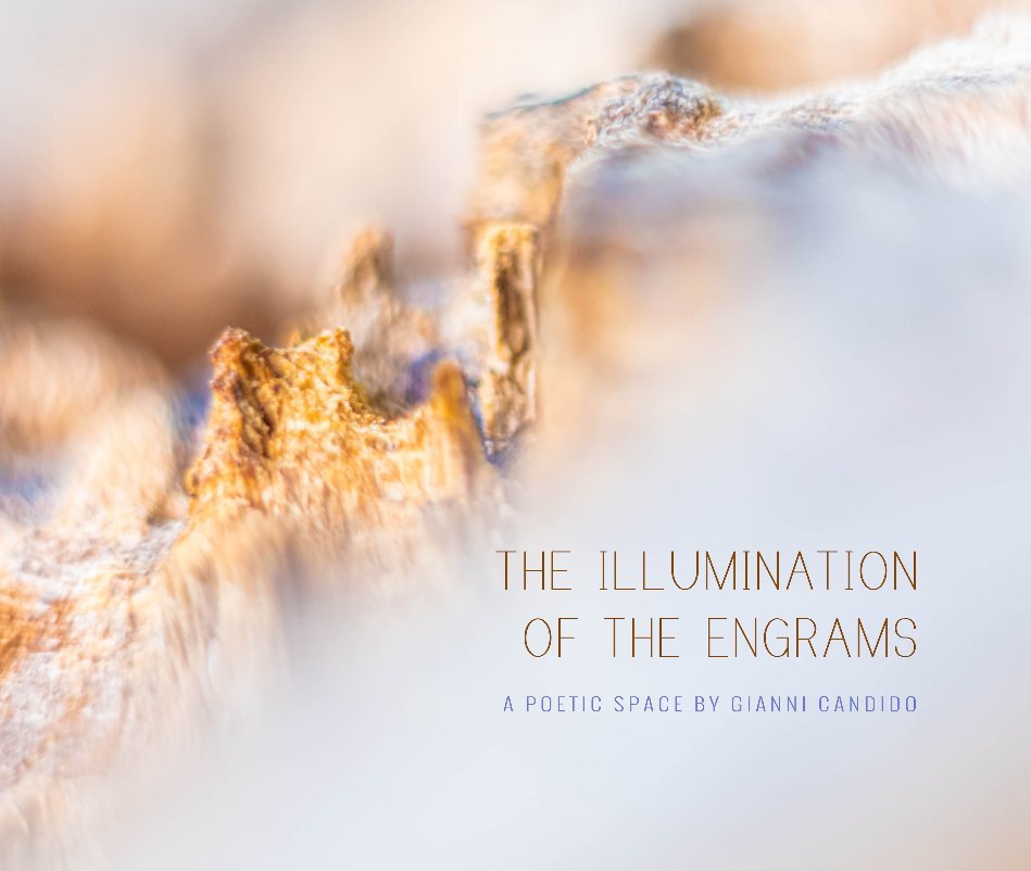 View The Illumination of The Engrams by Gianni Candido