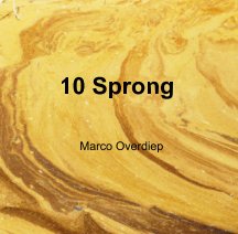 10 sprong book cover
