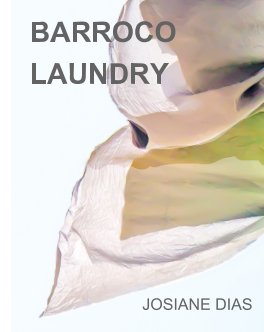 Barroco Laundry book cover