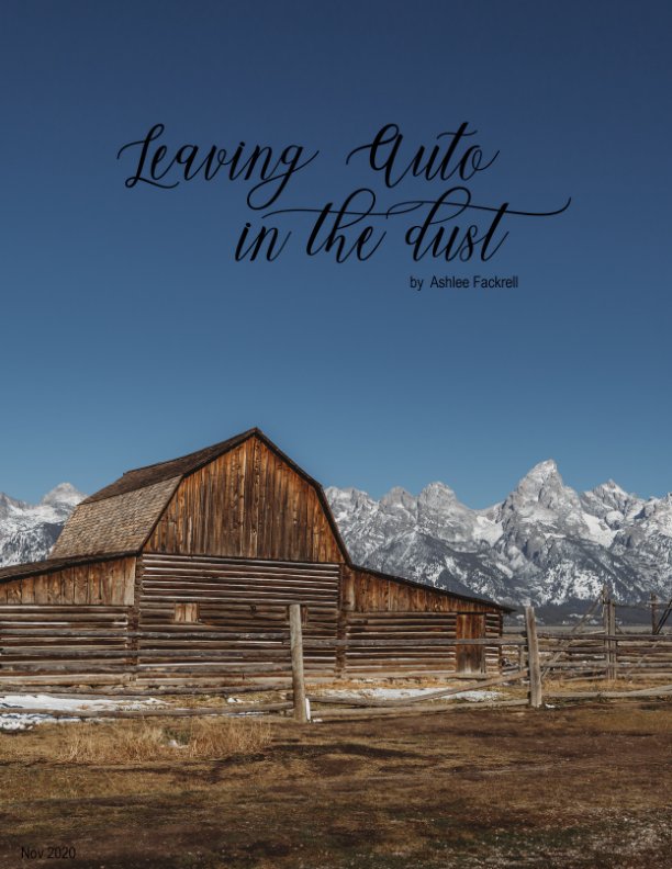 View Leave Auto In the Dust by Ashlee Fackrell
