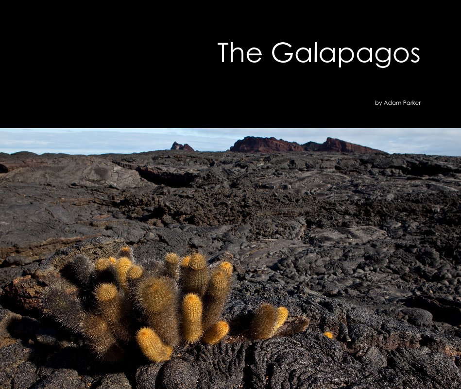 View The Galapagos by Adam Parker