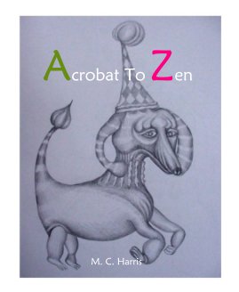 Acrobat To Zen book cover