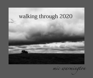 walking through 2020 book cover
