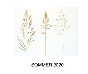 Sommer 2020 book cover