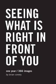 Seeing what is right in front of you book cover