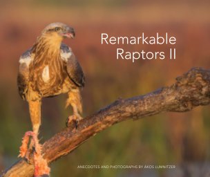 Remarkable Raptors II - Paperback book cover