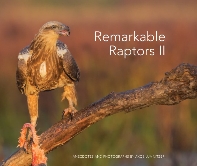 View Remarkable Raptors II - Paperback by Ákos Lumnitzer