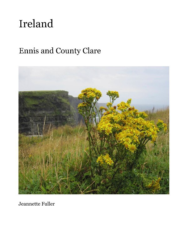 View Ireland by Jeannette Fuller