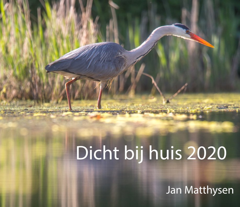 View Dicht bij huis 2020 by Jan Matthysen