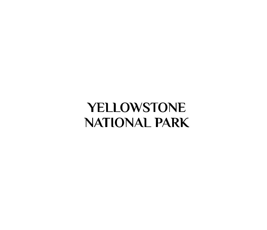 Ver Yellowstone 2020 por Nico Rivas