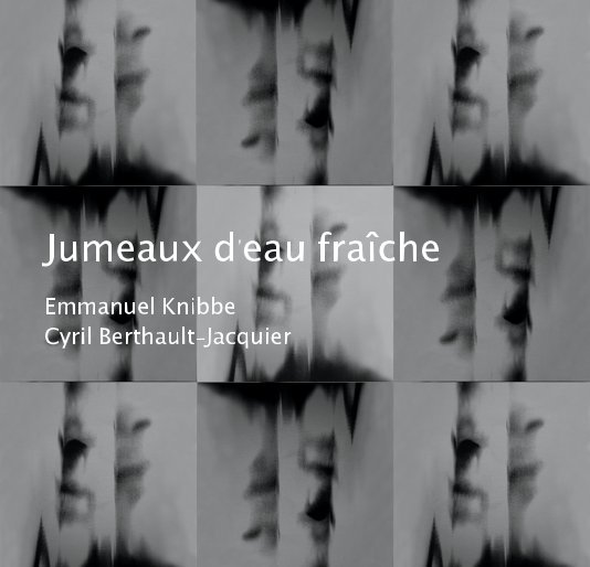 View Jumeaux d'eau fraîche by Emmanuel Knibbe & Cyril Berthault-Jacquier