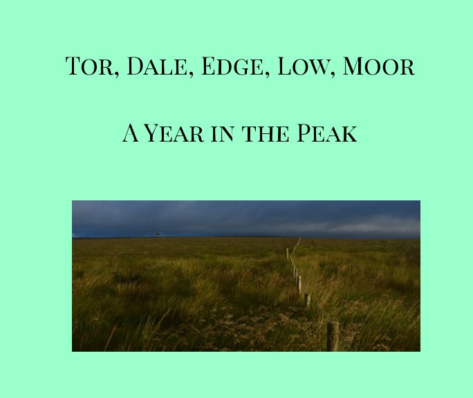 View Tor, Dale, Edge, Low, Moor by Kieran Picken