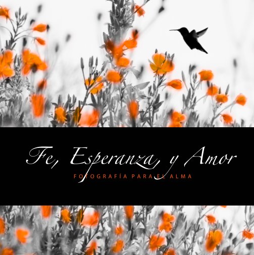View Fe, Esperanza y Amor (Segunda Edición) by Pablo Morales