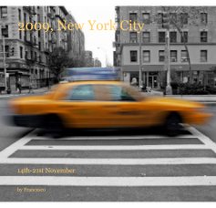 2009, New York City book cover