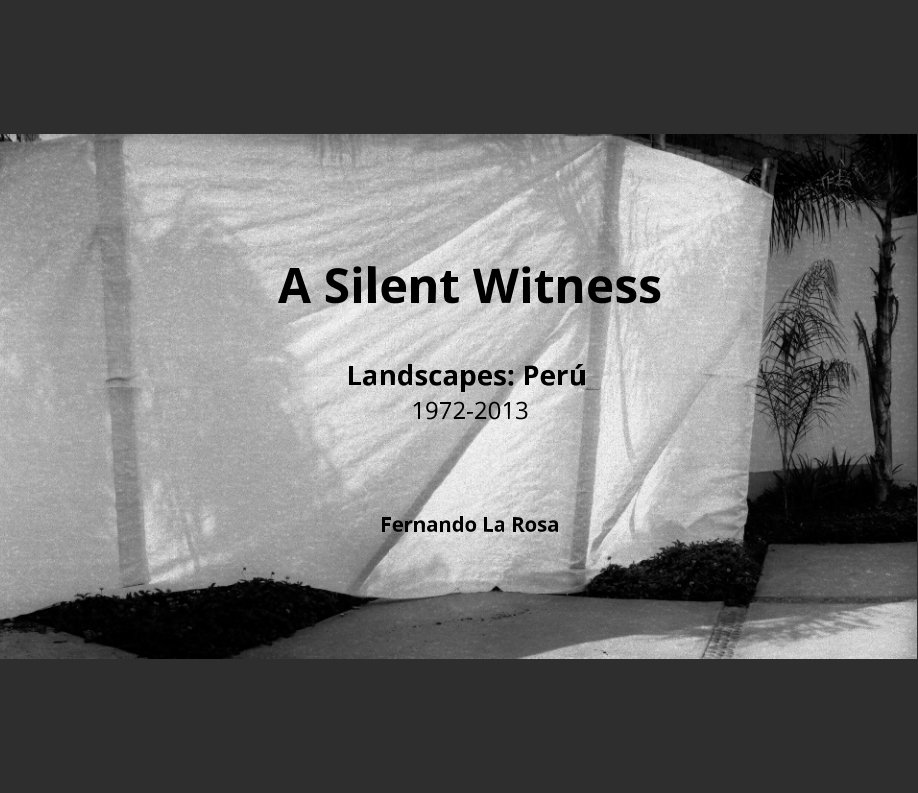 View A Silent Witness by Frances de La Rosa