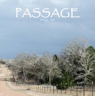 Passage book cover