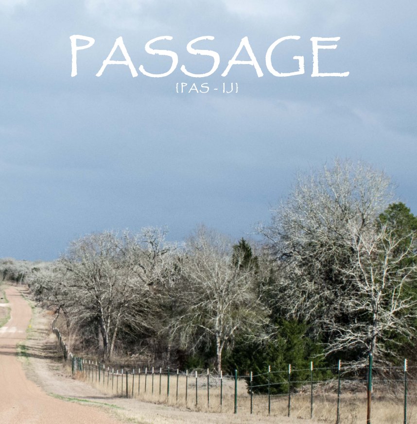 View Passage by April M. Frazier