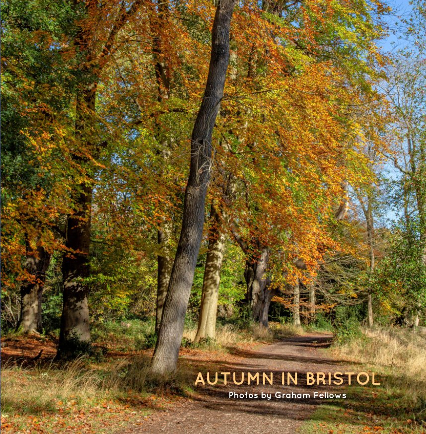 View Autumn in Bristol by Graham Fellows