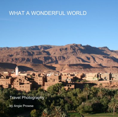What a Wonderful World book cover