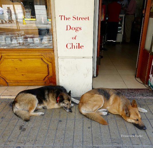 View Street Dogs of Chile by Francesca Yorke