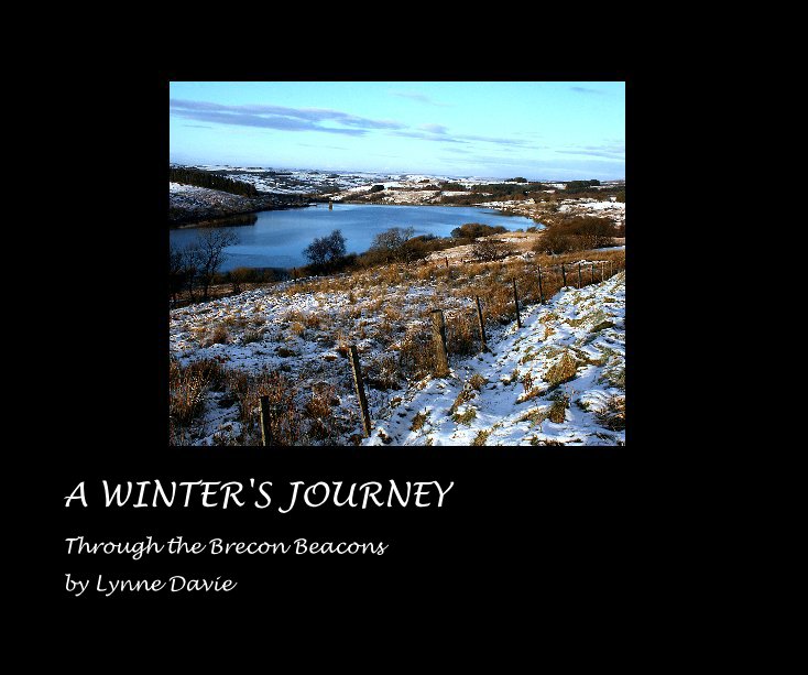 View A WINTER'S JOURNEY by Lynne Davie