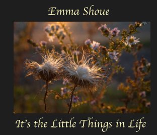 It's the Little Things in Life book cover