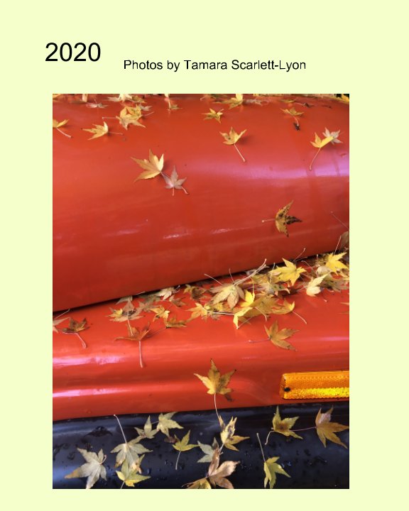 Bekijk 2020 op Tamara Scarlett-Lyon