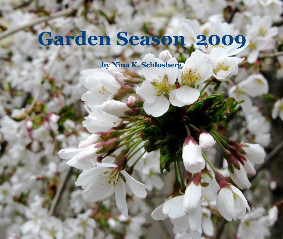 View Garden Season 2009 by Nina K. Schlosberg