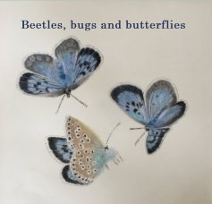 Beetles, bugs and butterflies book cover