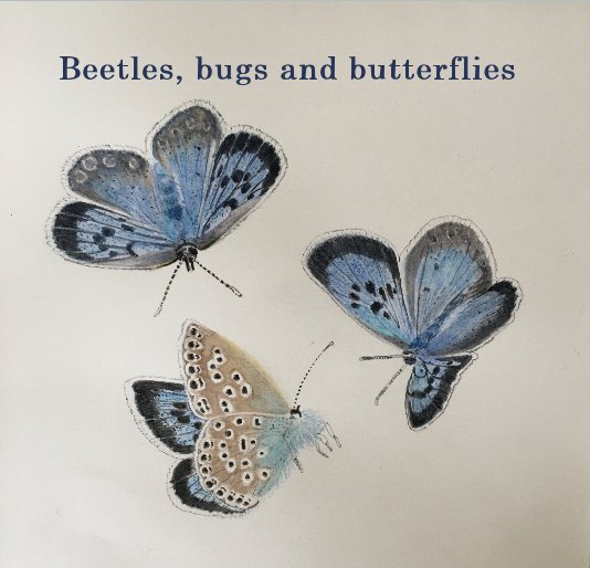 View Beetles, bugs and butterflies by Robyn McAdam