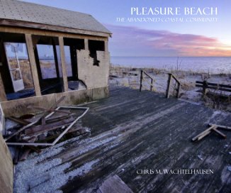 Pleasure Beach book cover