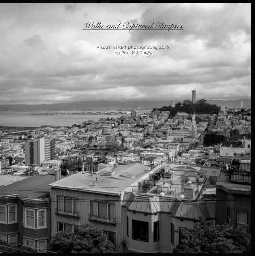 View Walks and Captured Glimpses by Paul MIDAS