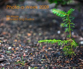Photo-a-Week 2009 book cover