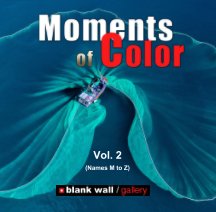 Moments of Color 2020 Vol. 2 (Names M to Z) book cover