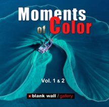 Moments of Color 2020 Vol. 1 - 2 book cover
