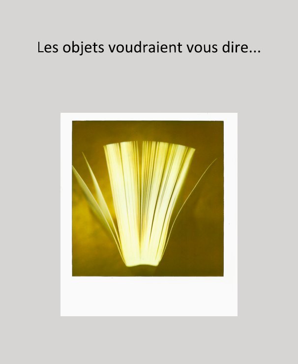 View Les objets voudraient vous dire... by Alexandre Toso